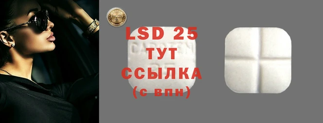 тгк Алзамай