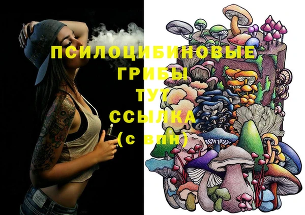 apvp Алексеевка